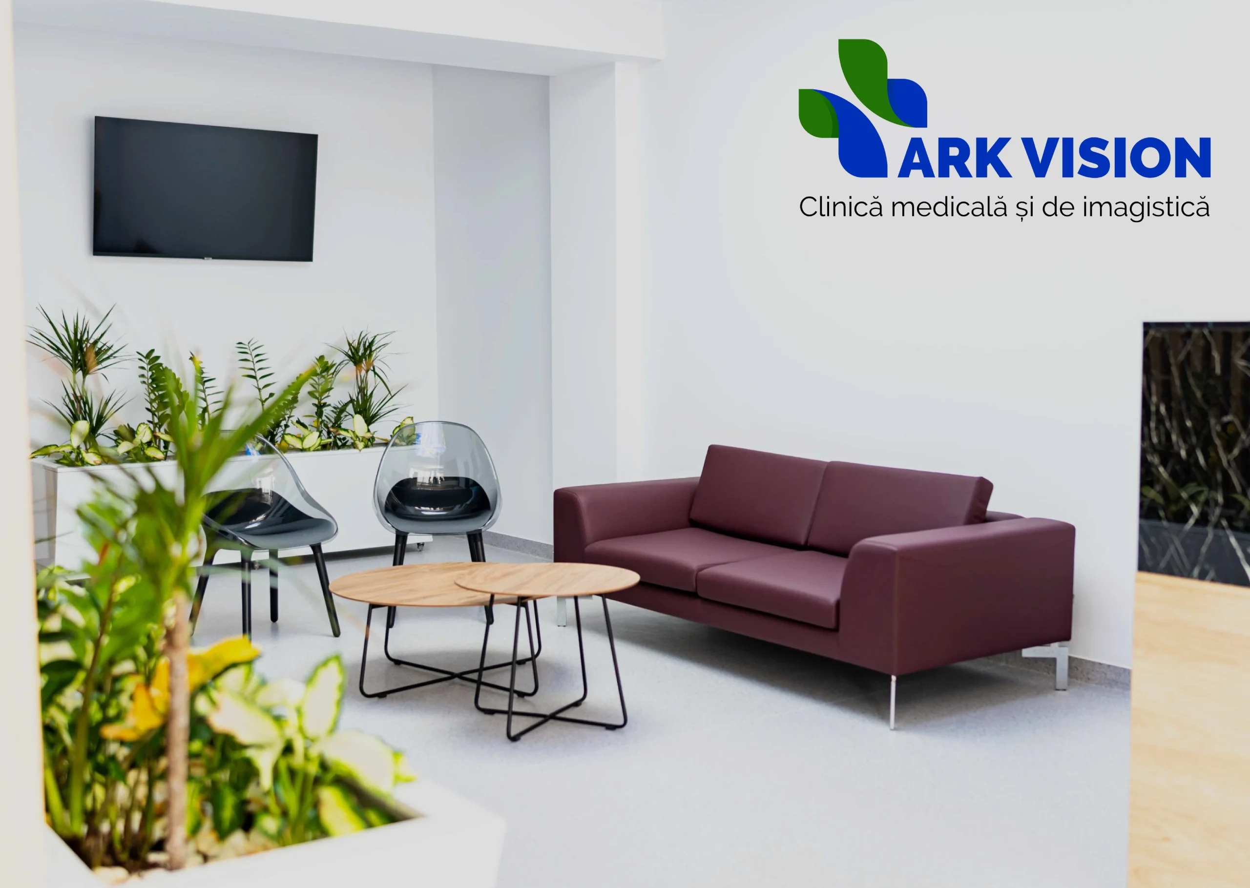 Ark Vision